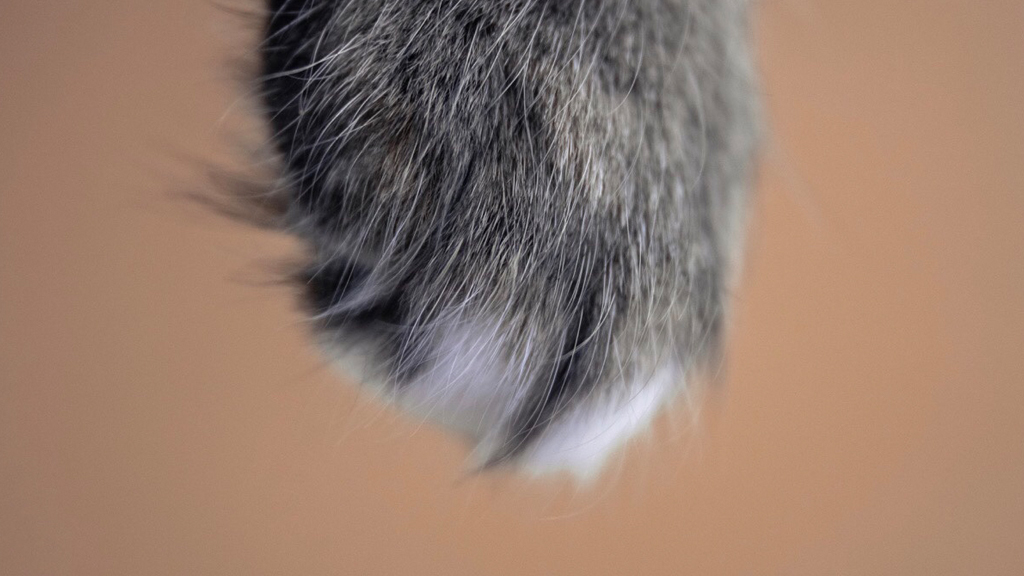 手のひらに乗せて