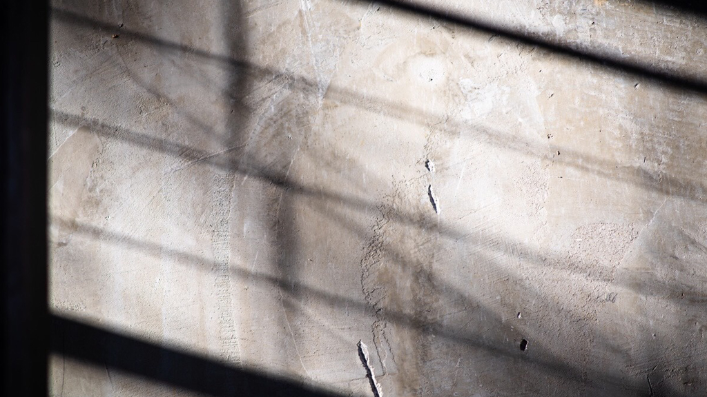 愛してください