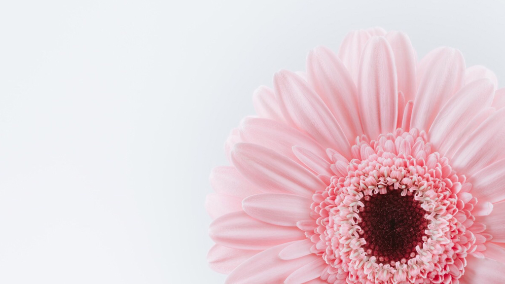 花束とシュークリーム