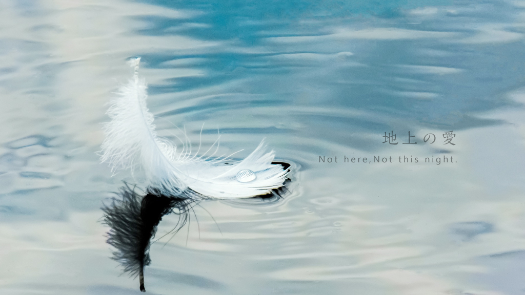 地上の愛